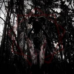 This Gift Is A Curse : I, Guilt Bearer